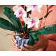 LEGO® Icons Botanical 10311 - Орхидея LEGO® Icons Botanical 10311 - Орхидея