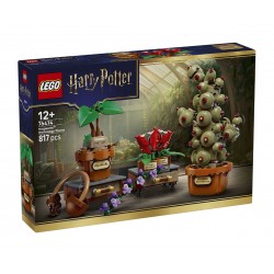 LEGO® Harry Potter 76474 - Растения за часа по билкология в Хогуортс