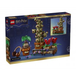 LEGO® Harry Potter 76474 - Растения за часа по билкология в Хогуортс